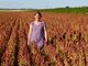 Grains De Nature - image 3