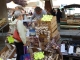 Couleur Cafe - image 1