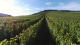 Domaine Charles Fahrer - image 6