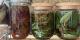Le Grenier Des Plantes - image 3