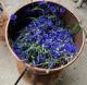 Le Grenier Des Plantes - image 4