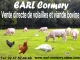 Logo Earl Cormery
