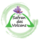 Logo Safran Des Volcans
