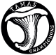 Logo Tamas Champignons