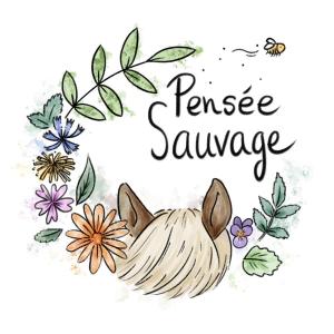 Pensée Sauvage
