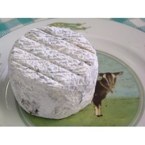 Crottin cendré pur chèvre affiné