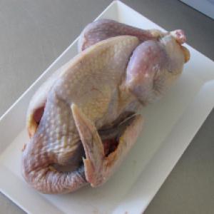 Pintade