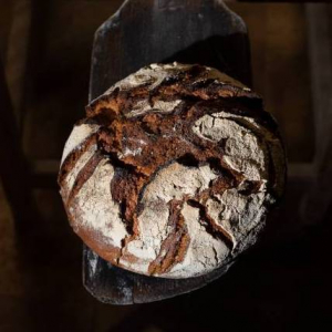 Pain pur seigle bio