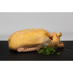 Cannette fermière barbarie 1,500kg