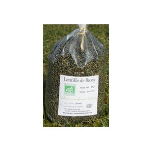 Lentilles vertes biologique 1kg