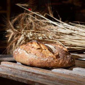 Pain de grand épeautre et blé bio