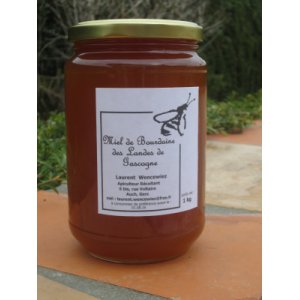 Miel de Bourdaine