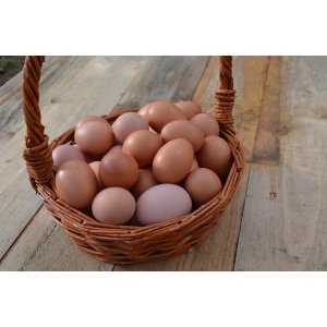 Oeufs x 6 conversion bio