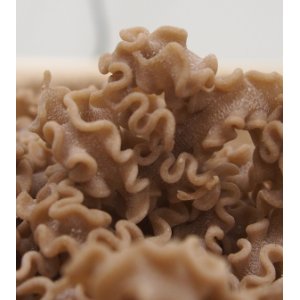 Mafaldine au petit épeautre bio