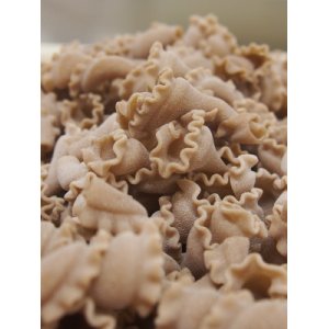 Campanelle bio à l'épeautre