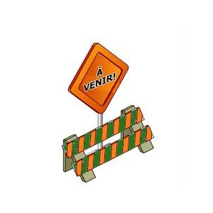 Bonbons, La MENTHE POIVREE de MILLY coeur CHOCOLAT NOIR