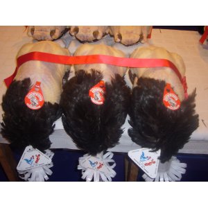 Dinde de bresse 3.7kg