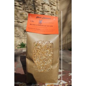 Petit épeautre en grains 1 kilo