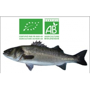 Colis de 6/10 loups (bar)  bio de 300/600 gr pièce - poids : 2,8/3 kg