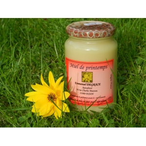Miel de fleurs de printemps 500g