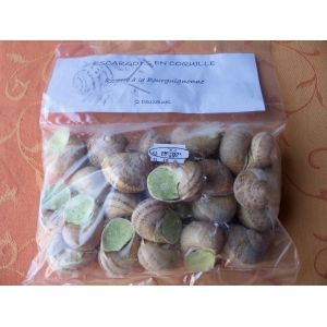 Escargots en coquilles traditionnelles - sachet vrac de 2 dz
