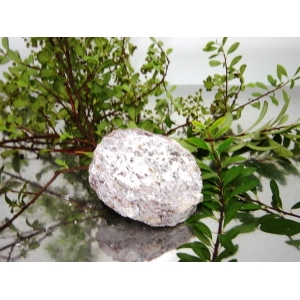 Saucisson comté 'apéro'