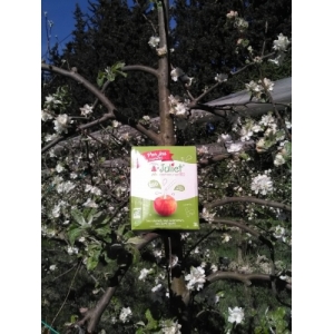 Jus de pomme juliet bio 3l en cubi