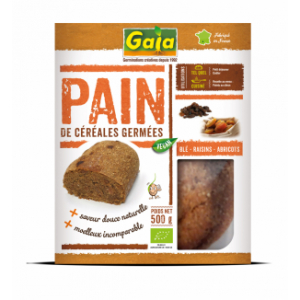 Pain blé raisins abricots