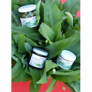 Pesto 'sans sel' d'ail des ours