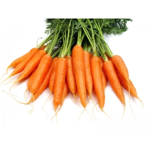 Carotte botte