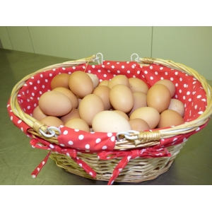 Oeufs de poules élevées plein air