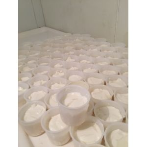 Faisselle de chèvre au lait cru