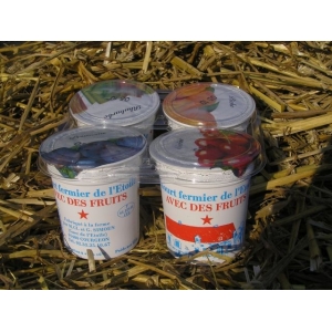 4 yaourts aux fruits : peche