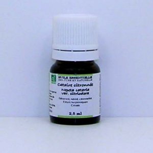 Huile essentielle de Cataire citronnée bio - 2,5 ml