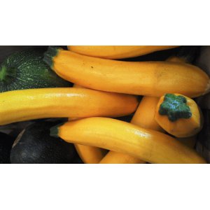 Courgettes jaunes x 2 kg