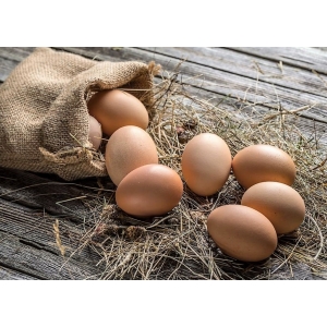 6 oeufs bio fermiers