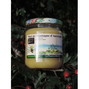 Miel de montagne du sancy  ab 2025