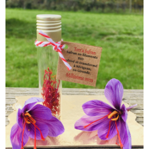 Safran en filaments 0.25g