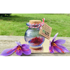 Safran en filaments 0.50g