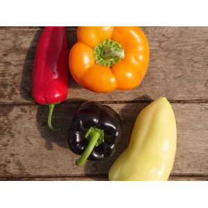 Poivrons multicolores-/500g