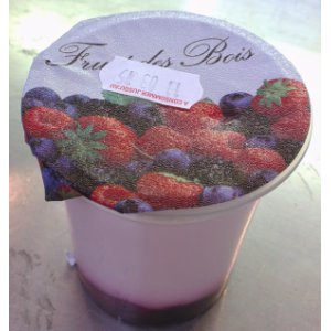 Yaourt aux fruits des bois (2x125g.)