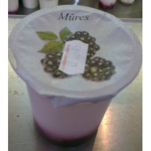 Yaourt nature sur coulis : mûre (2 x 125g.)