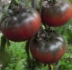 Tomates mixtes - image 3