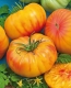 Tomates mixtes - image 4