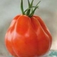 Tomates mixtes - image 5