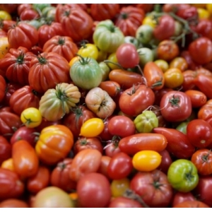 Tomates mixtes