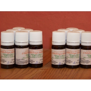 H.e hélichryse (immortelle) flacon de 2ml