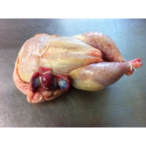 Poulet 1,7 à 2kg