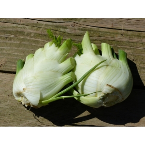 Fenouil 500g, vitamines c, octeville