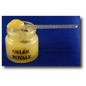 Gelée royale bio